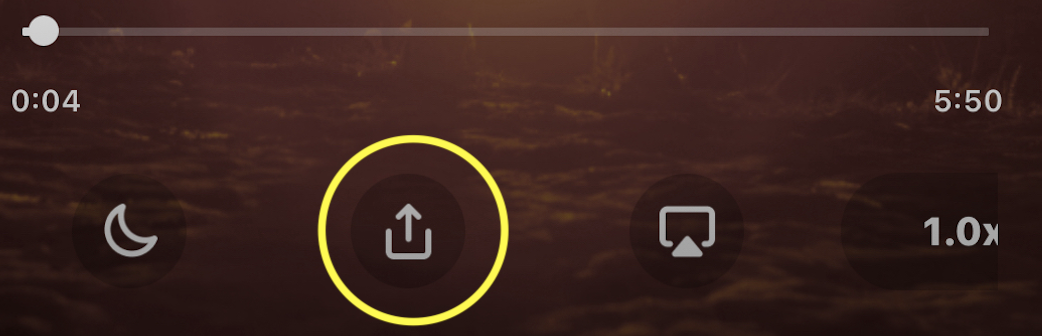 Amen iOS Share.png
